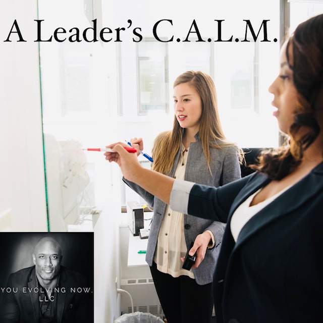 a leader's calm, the keys to calm leadership